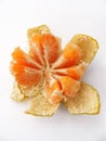 Sliced Ã¢â¬â¹Ã¢â¬â¹mandarin pictures for original designs